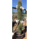 Trichocereus pasacana de 110 cm