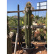 Trichocereus pasacana de 180 cm