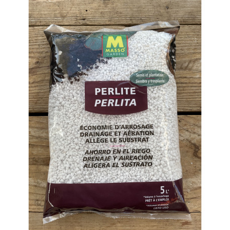 Perlite — Cactus en Ligne