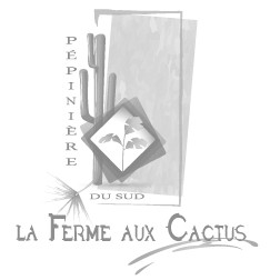 Carte postale " La ferme aux cactus" by Monsieur Z