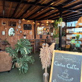 🌵Welcome to our Cactus Coffee!☕️
-
📍Certains d’entre vous le connaissent déjà mais d’autres ignorent encore son existence!
-
🫖 Pause café ou thé, pour coworker ou faire sa petite lecture, toutes les raisons sont bonnes pour s’y arrêter! 
-
🪴À découvrir et redécouvrir toute l’année, dans la pépinière, aux mêmes horaires d’ouverture. 
-
#coffee #coffeevibes #cactuscoffee #cactus #cactuslover #cactusshop #lafermeauxcactus