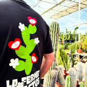 🌵Un grand merci à toute l’équipe de @natiforiginal pour ces t-shirts personnalisés! 🌸
-
On est fan! 😍
-
(On vous voit venir, mais non! c’est seulement pour l’équipe!) 😁🌵
-
#natif #collection #cactus #lafermeauxcactus