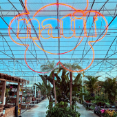 🌵11 mai 2025, @lafermeauxcactus a accueilli pour son premier événement indoor, le premier défilé @natiforiginal pour leur nouvelle collection Summer 2025 🌸
-
🙏🏻 Un grand merci à tous les sponsors, @labieredesilesdor , @chateausaintemarguerite, @vw_bymycar_lagardeollioules , @gilbert.ceramic , @easysushi, @caurina.bijoux , @bubblygusti , @dvbgrossisteboissons pour avoir rendu cet événement si spécial, et évidemment un grand merci à @natiforiginal pour leur confiance! 🫶🏻
-
🌵Flashback sur cette superbe journée📸
-
#natiforiginal #natifcollection #natifporquerolles #lafermeauxcactus #cactus #mode #defile #carqueiranne