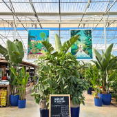 🌵Le marché des créateurs, ça a donné ça! 😍
-
Notre premier marché a eu lieu ce samedi 11 octobre, et c’était dingue! 
-
Un immense merci à tous les créateurs, DJ, tatoueurs, foodtrucks, @real_monsieurz et les nombreuses autres personnes ayant contribué a cette journée, tout ça c’est grâce à vous! 🙏🏻
-
Notre sud regorge d’humanité et de talents!😍
(Retrouvez toutes les personnes présentes lors de cette journée dans notre story à la une)
-
Prêts pour une prochaine édition? 🌵
-
#marché #marchédescreateurs #lafermeauxcactus