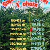 🎄Les sapins sont arrivés !🎁
-
#christmastree #sapin #christmas #pepiniere #lafermeauxcactus